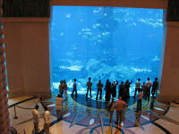 The aquarium at the Atlantis hotel