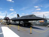 The blackbird