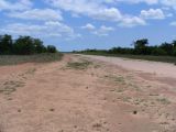 The runway in the bush