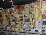Lots of different creatures to be seen at the museum