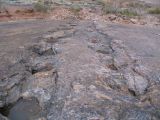 Dinosaur track in the rock at Torotoro