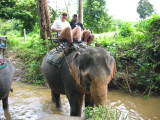 The elephant ride was bumpy