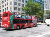 Buses used by Grey Line tours in NYC