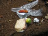 A standard lunch pack: two sandwiches, a banana, an orange and a cookie