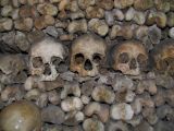 Skulls at Paris catacombs
