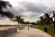 Taking a walk in Lummus park early in the morning
