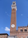 I bet you can get a great view from torre del mangia
