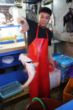 It was possible to get very fresh fish at Seoul fish market