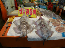 Small rays for sale at Seoul fish market